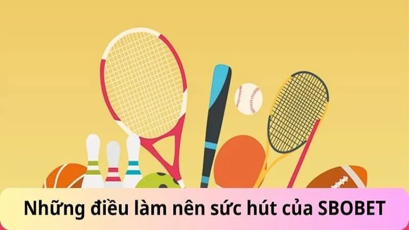 Đâu là lý do để bạn lựa chọn cá cược bóng rổ SBObet?